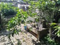Продава КЪЩА, област Хасково, с. Крум • 55000 лв. / 28121.05 € • 46353976 6