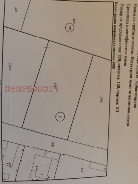 ����� ������� ������,��. ������, ������ ����