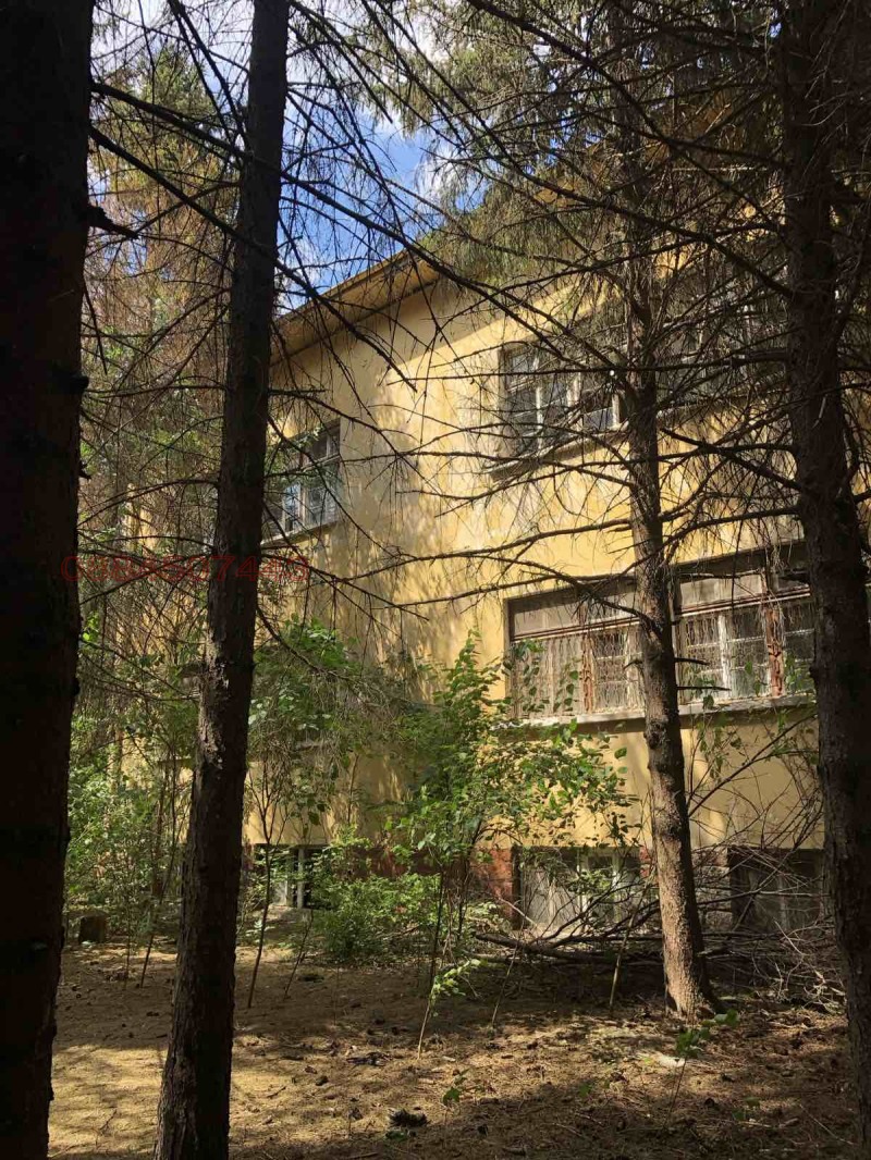 Продава БИЗНЕС ИМОТ, с. Борислав, област Плевен, снимка 8 - Други - 52785410