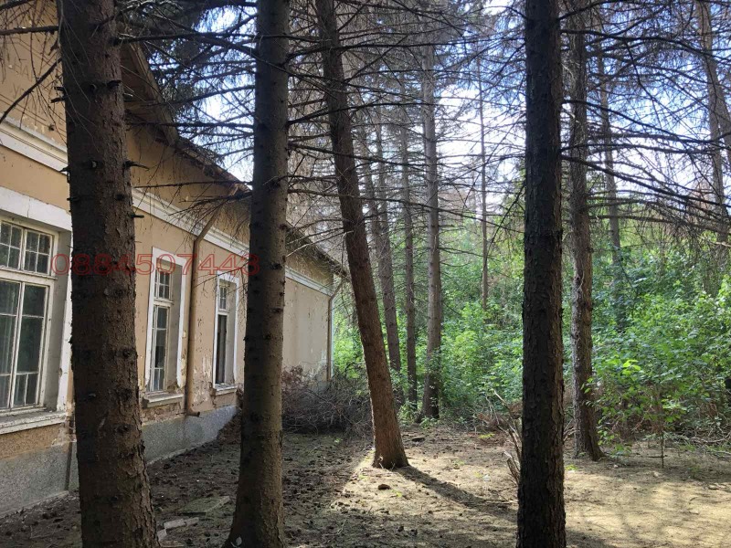 Продава БИЗНЕС ИМОТ, с. Борислав, област Плевен, снимка 6 - Други - 52785410