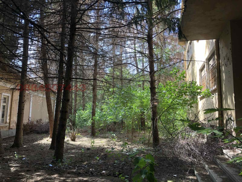 Продава БИЗНЕС ИМОТ, с. Борислав, област Плевен, снимка 7 - Други - 52785410