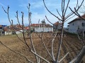 Продава КЪЩА, област Силистра, гр. Тутракан • 63000 € • 88750710 — Holmes.bg