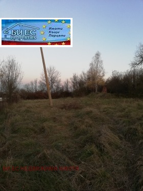 ����� ������� ������,�. ������� ���, ������ ������