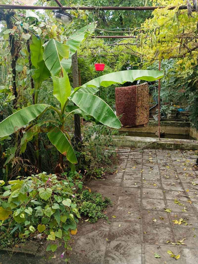 Продава КЪЩА, с. Долно Белево, област Хасково, снимка 7 - Къщи - 52782649