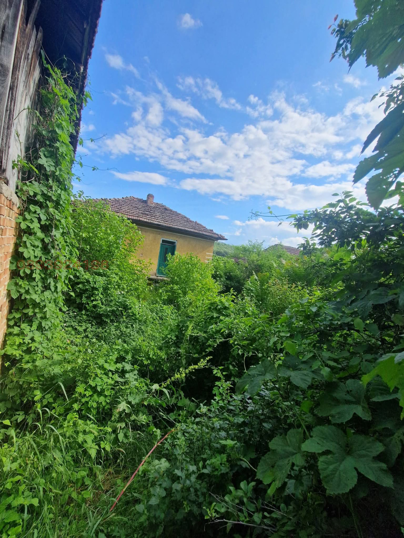 Продава КЪЩА, с. Делейна, област Видин, снимка 4 - Къщи - 54903571