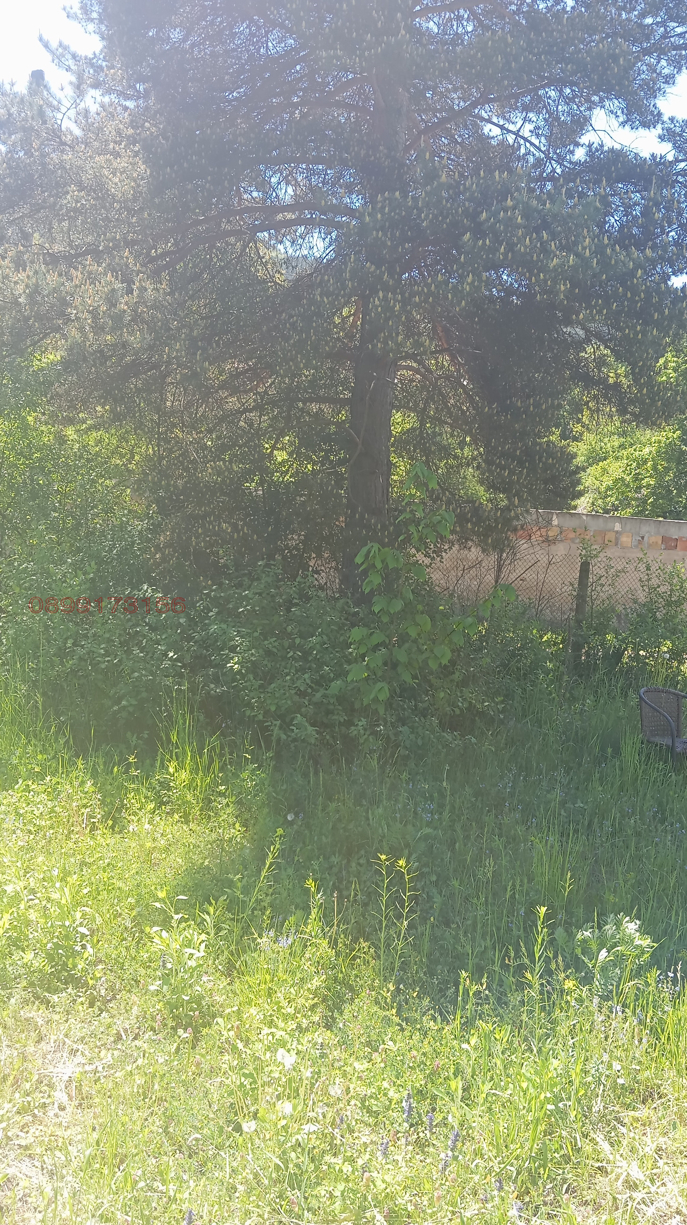 Продава ПАРЦЕЛ, с. Луково, област София област, снимка 2 - Парцели - 55156829