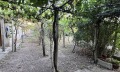 Продава КЪЩА, с. Дълго поле, област Пловдив, снимка 1