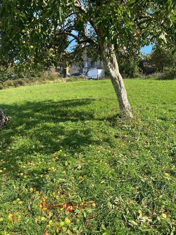 ������� ������ | Imot.bg � ����������� 3