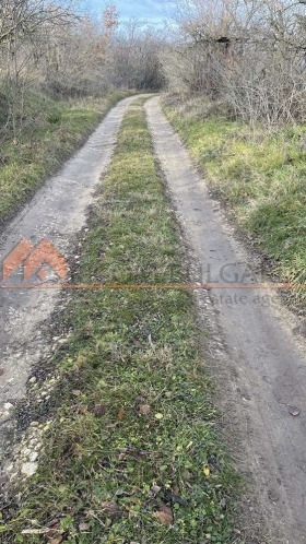  | Imot.bg    5