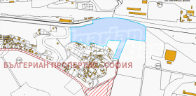 ����� ������� ������,���� ������, ������