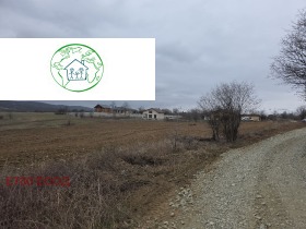 ����� ������� ������,�. �������, ������ �����