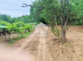 Продава ПАРЦЕЛ, гр. Правец, област София област, снимка 6