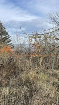 Продава ПАРЦЕЛ, град Варна, с. Звездица • 17000 € • 64190425 — Holmes.bg