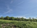 Продава ПАРЦЕЛ, област Велико Търново, с. Страхилово • 6000 € / 11734.98 лв. • 51765501 2