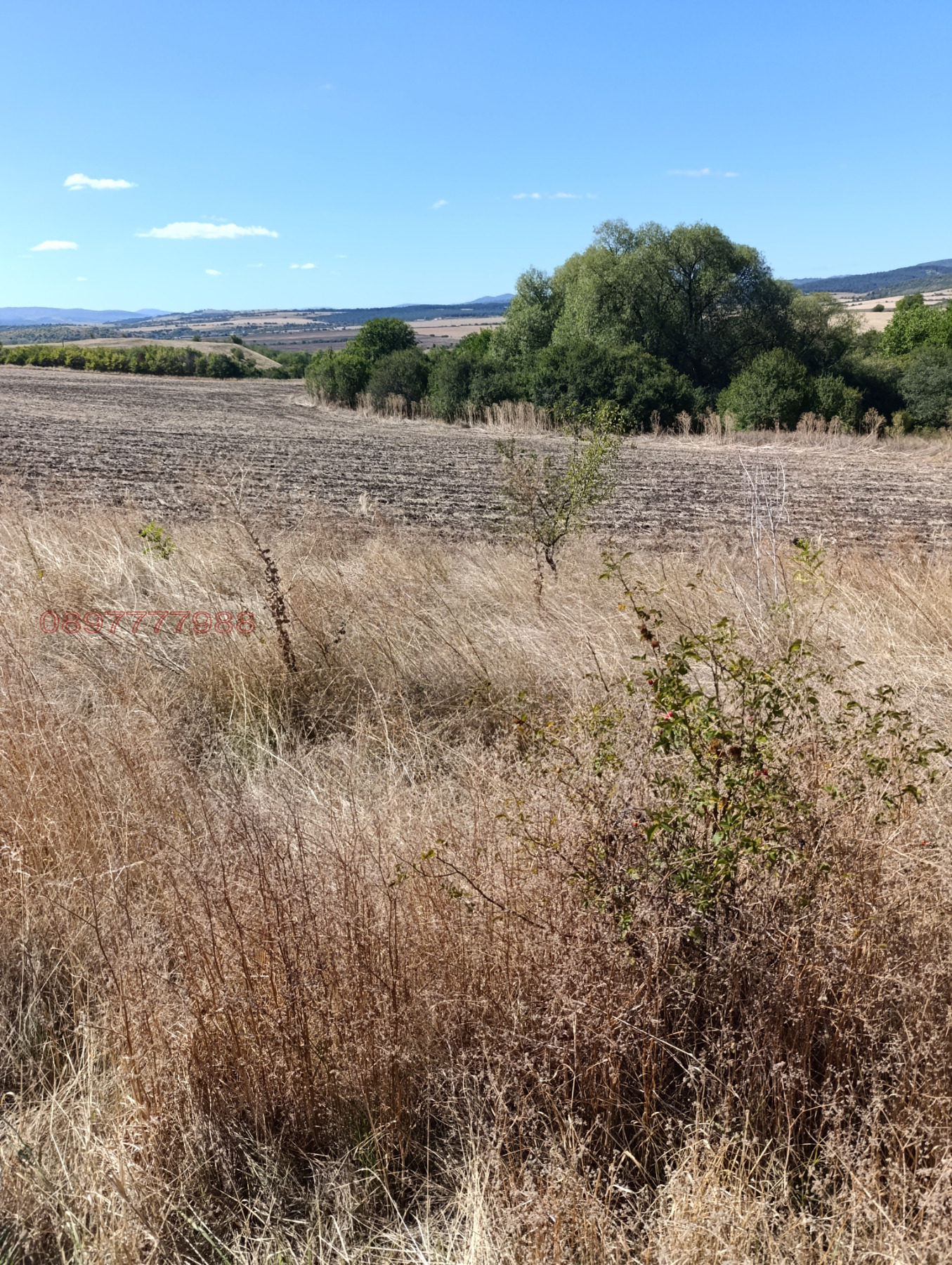 ������� ���������� ���� | Imot.bg � ����������� 3