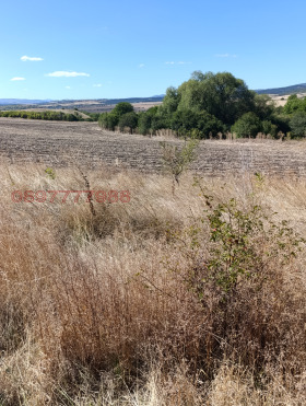 ������� ���������� ���� | Imot.bg � ����� ������ 3