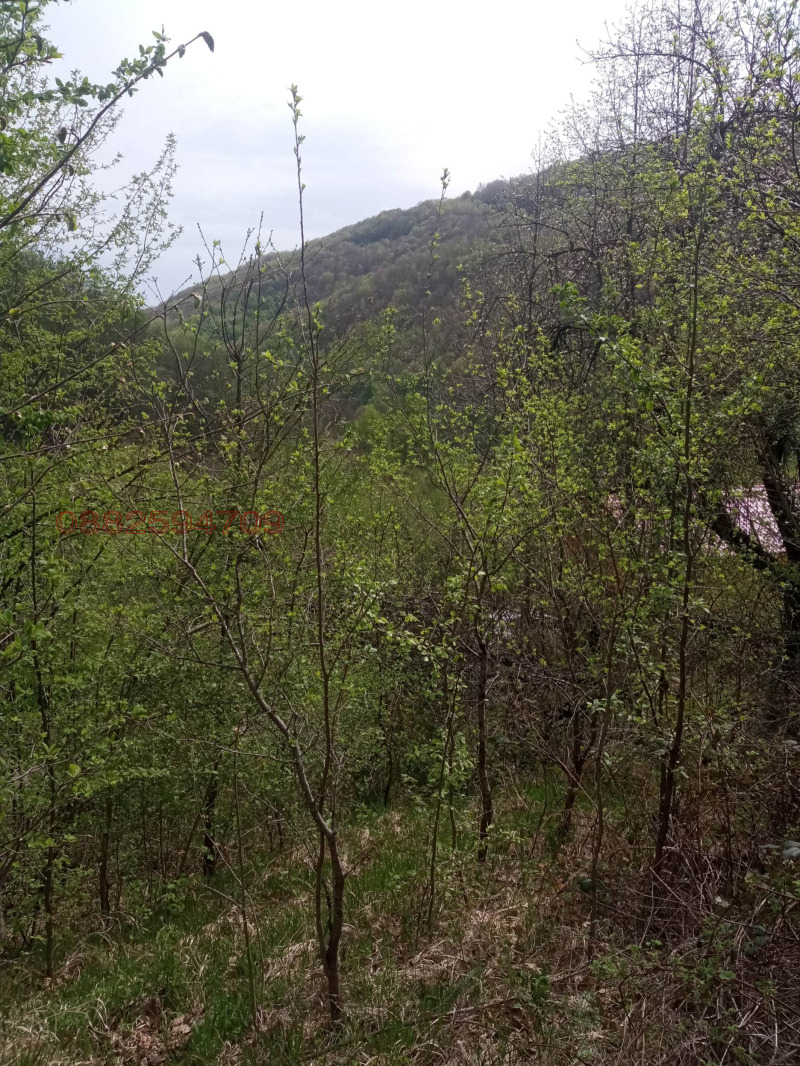 Продава ПАРЦЕЛ, с. Чифлик, област Ловеч, снимка 7 - Парцели - 52782288