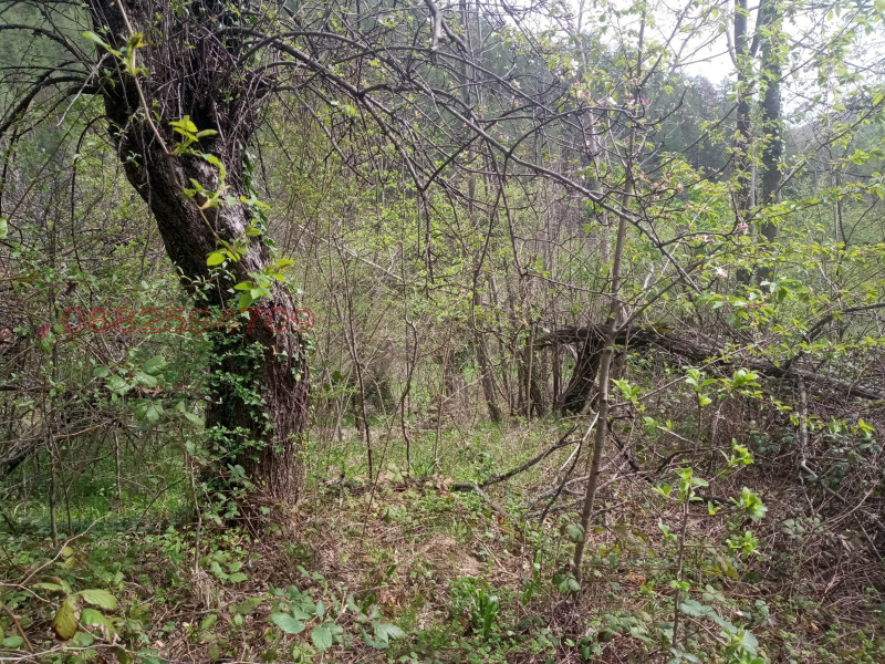 Продава ПАРЦЕЛ, с. Чифлик, област Ловеч, снимка 10 - Парцели - 52782288