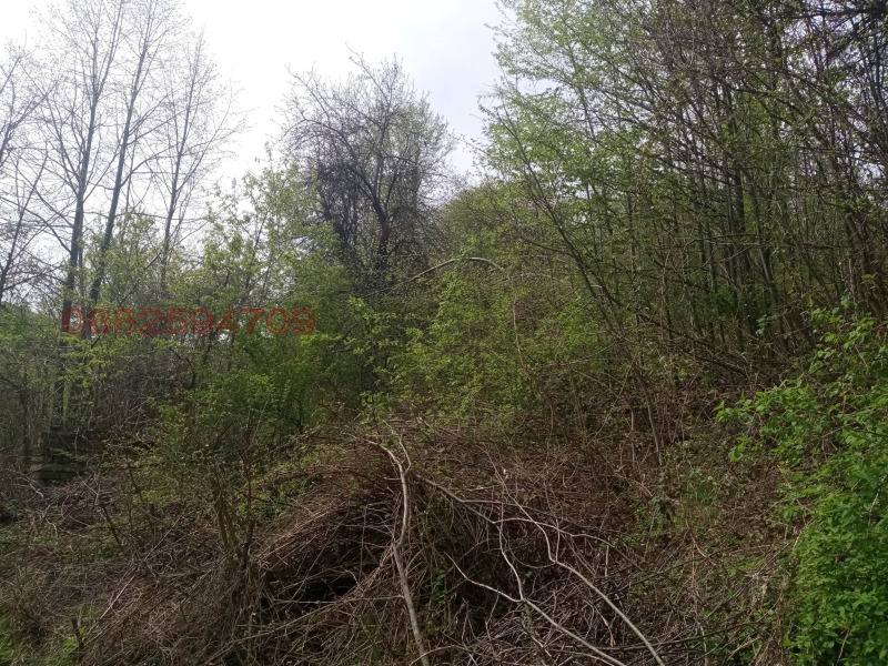 Продава ПАРЦЕЛ, с. Чифлик, област Ловеч, снимка 5 - Парцели - 52782288