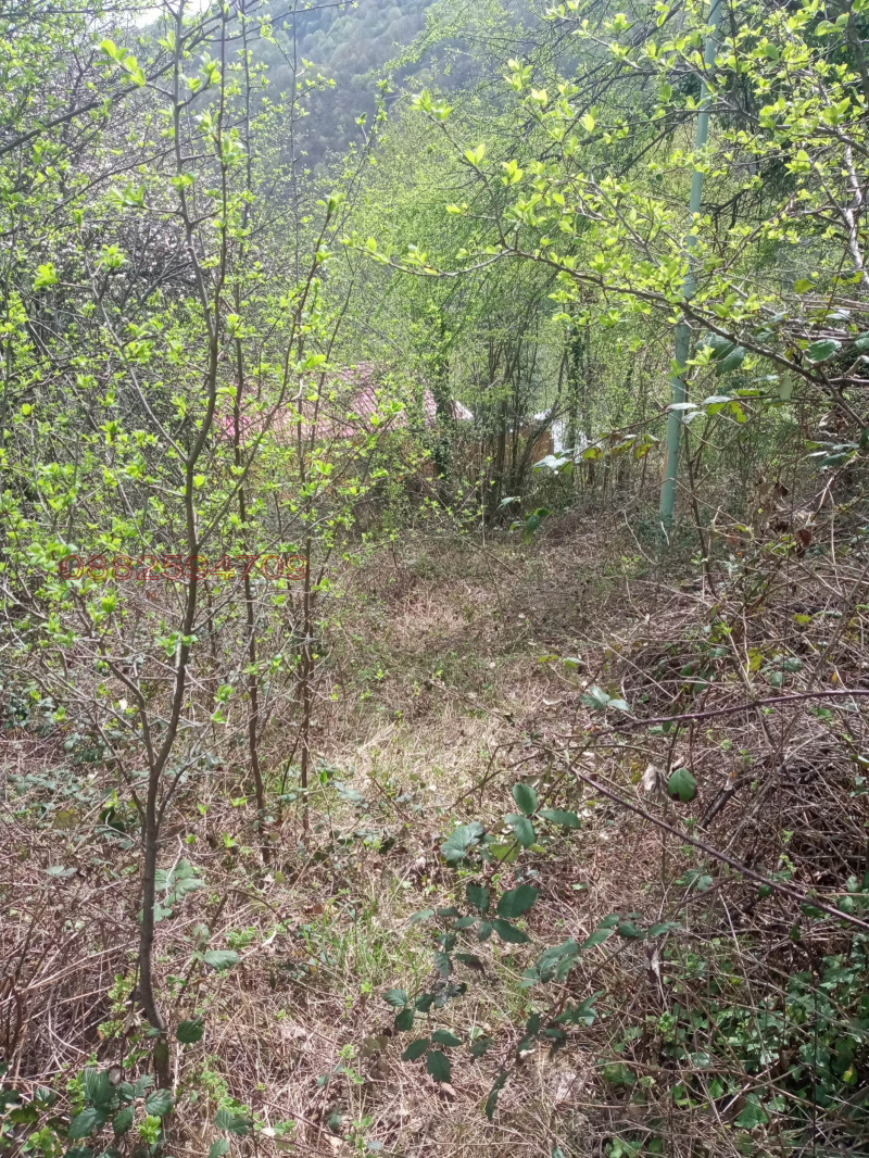 Продава ПАРЦЕЛ, с. Чифлик, област Ловеч, снимка 9 - Парцели - 52782288