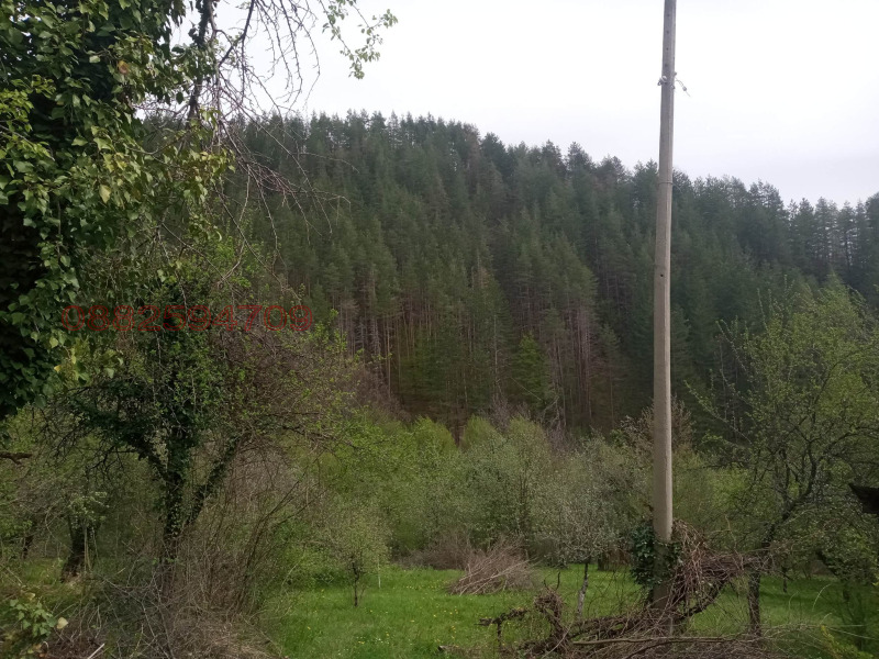 Продава ПАРЦЕЛ, с. Чифлик, област Ловеч, снимка 3 - Парцели - 52782288