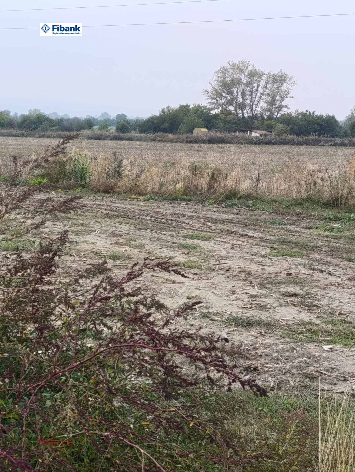 ������� ���������� ���� | Imot.bg � ����������� 1