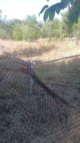������� ������ | Imot.bg � ����� ������ 7