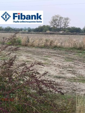 ����� ������� ���������� ����,��. ������, ������ ������