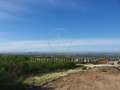 Продава МАГАЗИН, град Пловдив, Център • 49980 € • 17070006 — Holmes.bg