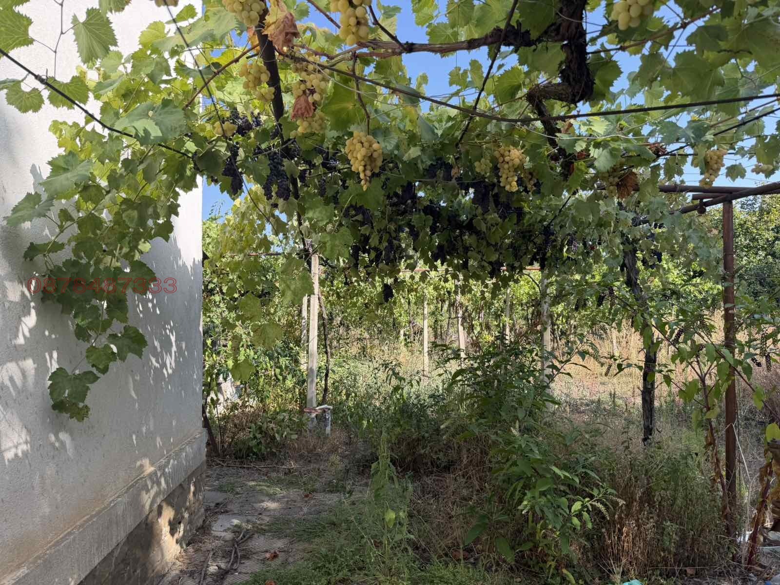 ������� ���� | Imot.bg � ����������� 6