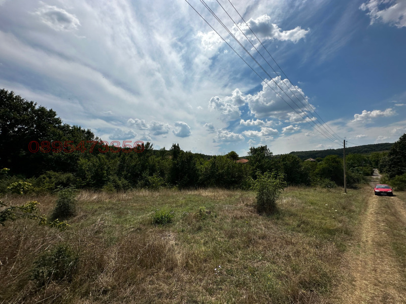 Продава  Парцел област Бургас , с. Драчево , 1090 кв.м | 49610558