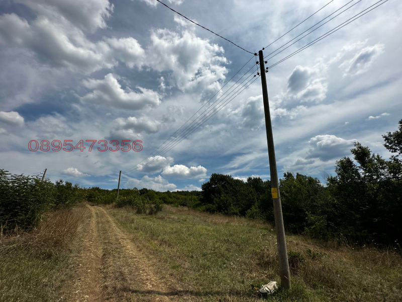 Продава  Парцел област Бургас , с. Драчево , 1090 кв.м | 49610558 - изображение [3]