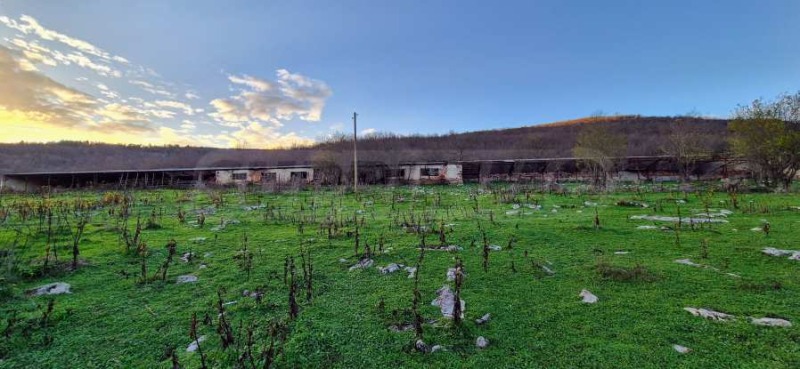 Продава БИЗНЕС ИМОТ, с. Гложене, област Ловеч, снимка 13 - Други - 52521692