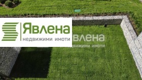 ����� ������� �������,���� �����, �������� ����