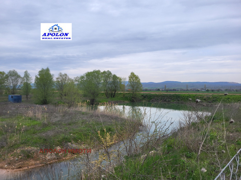 Продава ЗЕМЕДЕЛСКА ЗЕМЯ в област Пазарджик, с. Памидово - 14 дка / 150 000 € » 293 374.50 лв., АПОЛОН ИМОТИ