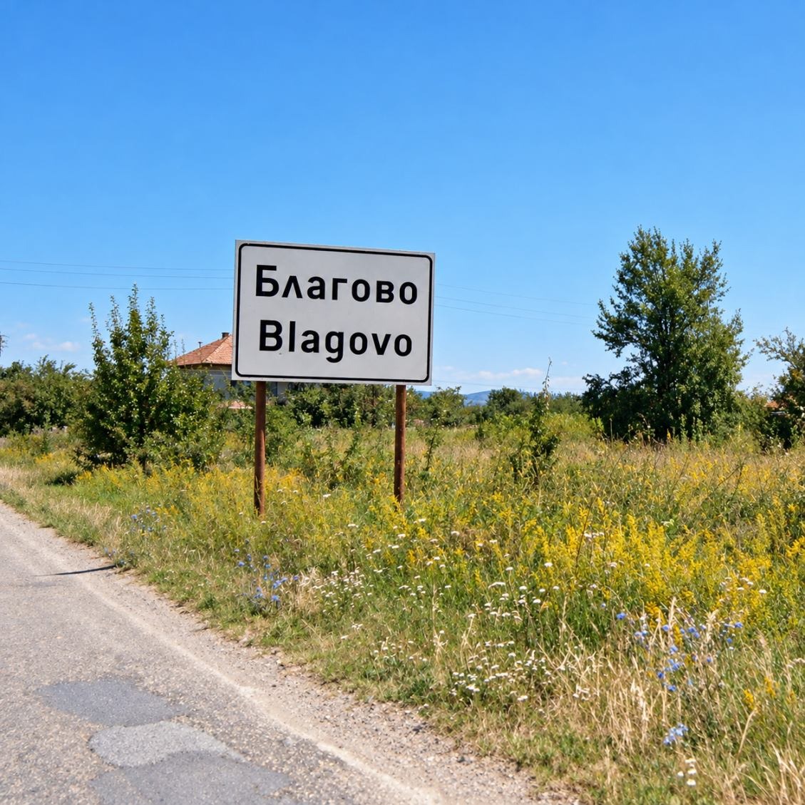Продава ПАРЦЕЛ, с. Благово, област Шумен