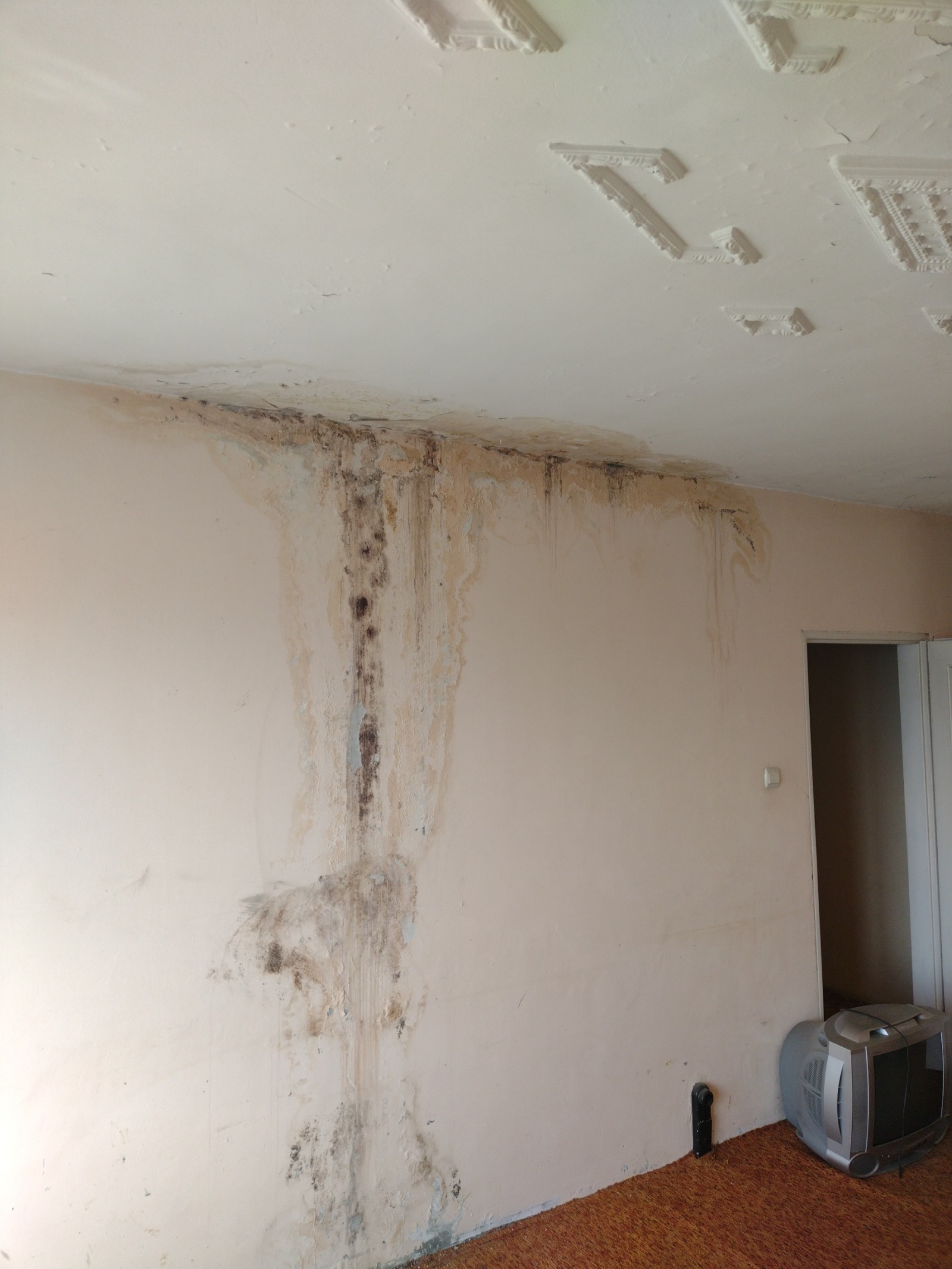 ������� 1-����� | Imot.bg � ����������� 13