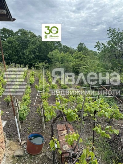 Продава КЪЩА, с. Осеново, област Варна, снимка 5 - Къщи - 48804813