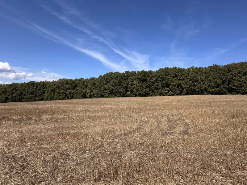 Продава ПАРЦЕЛ, с. Юнец, област Варна, снимка 2 - Парцели - 53508051