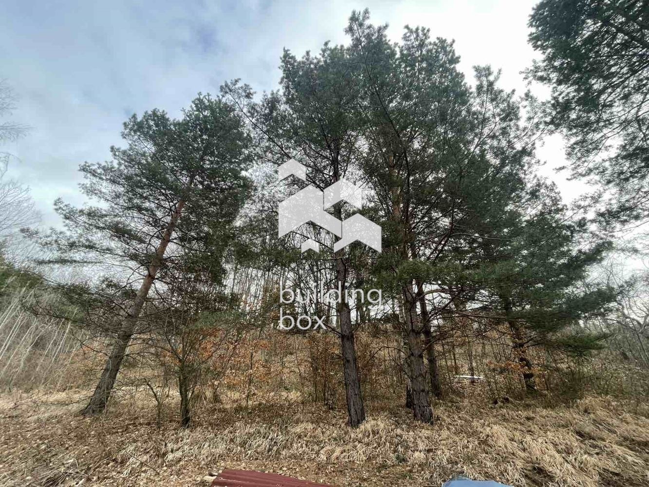 Продава ПАРЦЕЛ, гр. София, с. Владая, снимка 4 - Парцели - 53703444