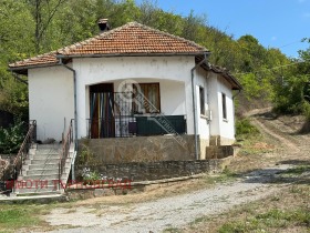 Hus Zlatarica, region Veliko Tarnovo
