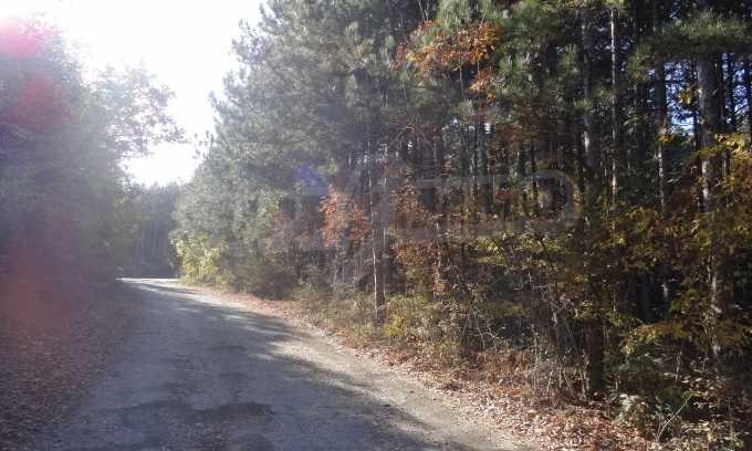 Продава ПАРЦЕЛ, гр. Варна, Виница, снимка 3 - Парцели - 52440452