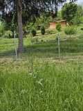 Продава КЪЩА, област София, с. Радуловци • 65000 € • 72162929 — Holmes.bg