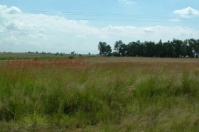 Terra Haskovo, região Haskovo