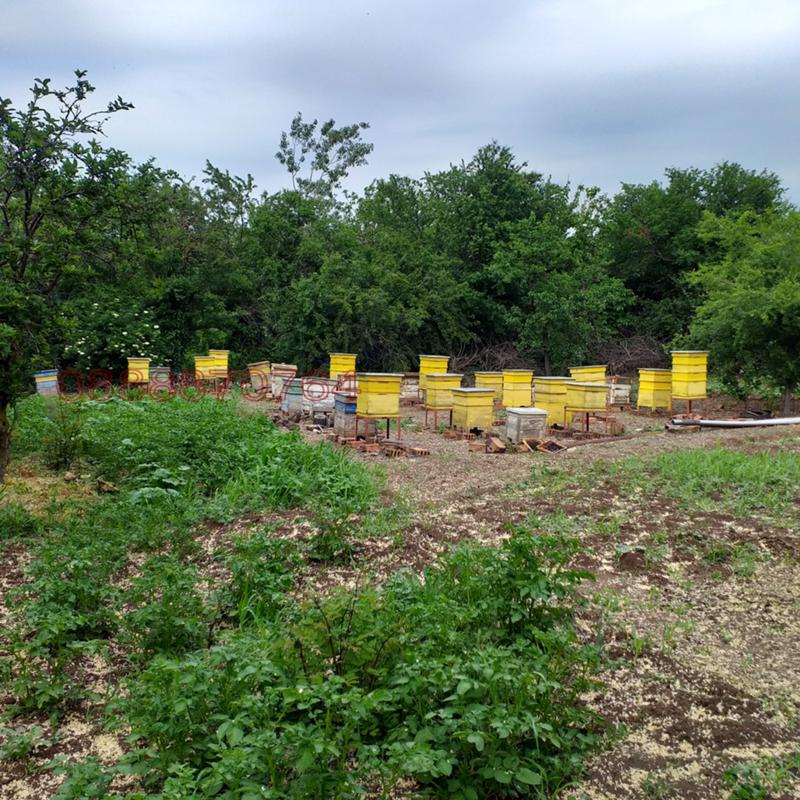 Продава КЪЩА, с. Бресте, област Плевен, снимка 10 - Къщи - 52785767