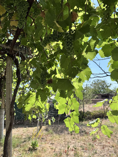 Προς πώληση  σπίτι περιοχή Plovdiv , Χησαρια , 84 τ.μ | 99591766 - εικόνα [6]
