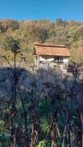 Продава ПАРЦЕЛ, град Варна, м-т Планова • 135000 € • 76964627 — Holmes.bg
