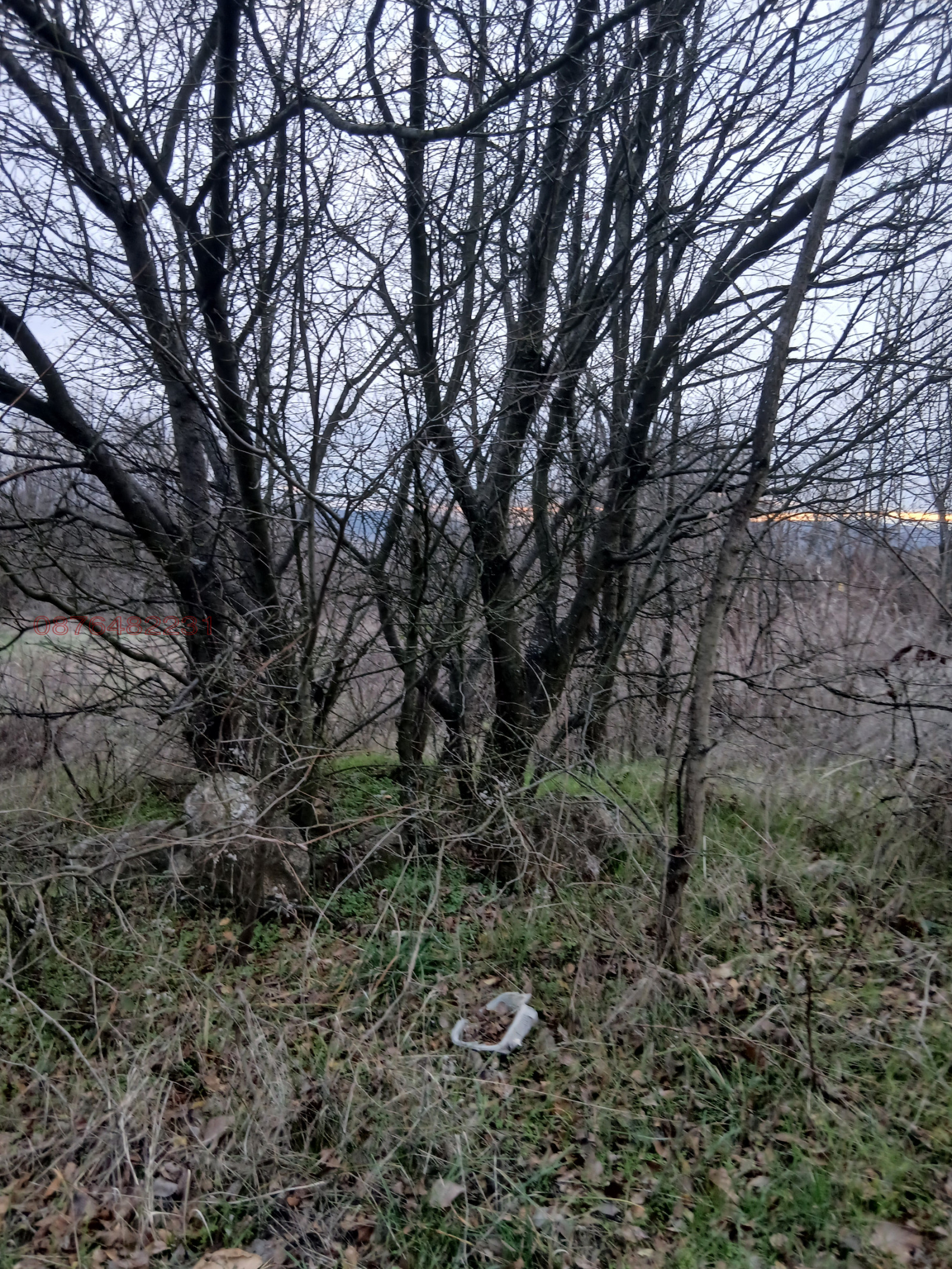 ������� ������ | Imot.bg � ����������� 3