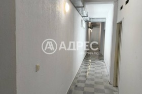 ����� ������� �����,���� �����, �������