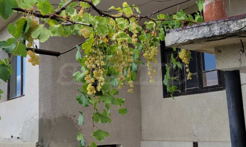 Продава КЪЩА, с. Нова Шипка, област Варна, снимка 7 - Къщи - 52008793